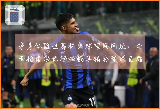 亲身体验世界杯买球官网网址，全面指南助你轻松畅享精彩赛事直播