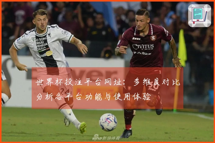 世界杯投注平台网址：多维度对比分析各平台功能与使用体验