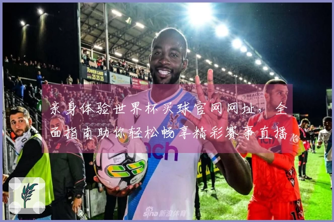 亲身体验世界杯买球官网网址，全面指南助你轻松畅享精彩赛事直播