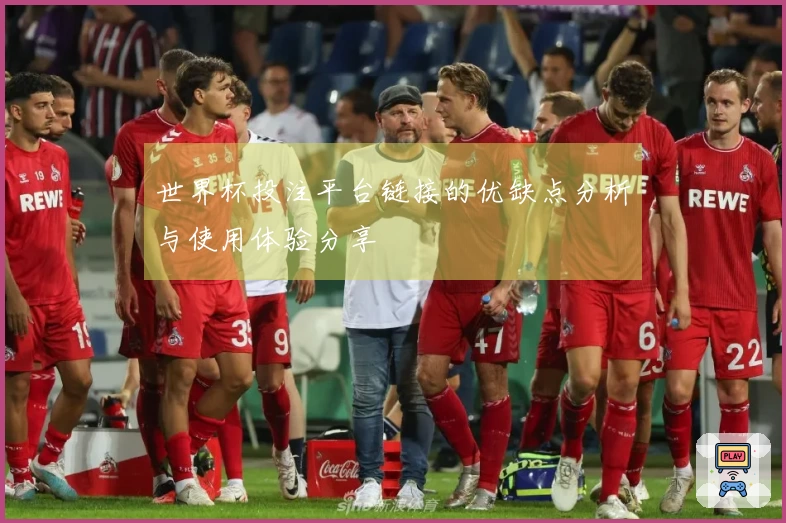 世界杯投注平台链接的优缺点分析与使用体验分享
