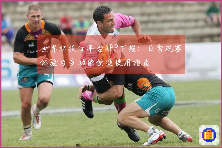 世界杯投注平台APP下载：日常观赛体验与多功能便捷使用指南